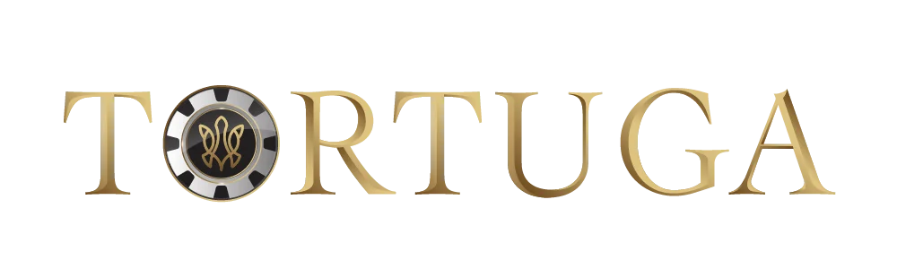 Partner 6